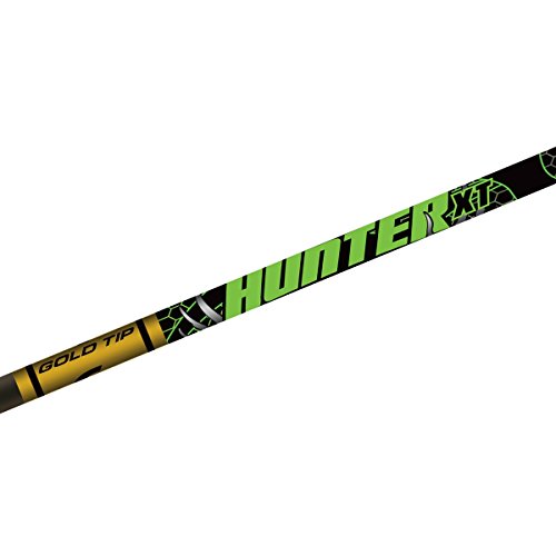 Gold Tip Hunter XT Arrows with 2-Inch Raptor Vanes (1-Dozen) for Archery Enthusiasts in Hunting Scenes, Precision & Dura