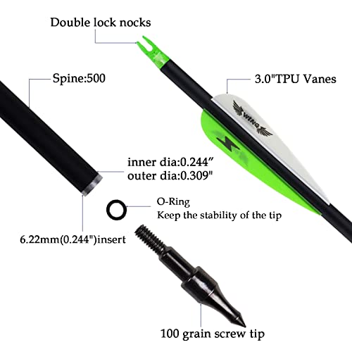  High-Quality 31inch Carbon Arrow Archery Target Practice Arrows for Compound & Recurve Bow Hunters (Pack of 12)
| Preci